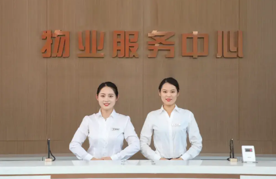 提供物业托管与运营管理咨询服务